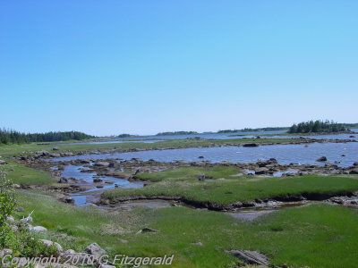 DSC04610