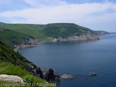 DSC04713