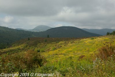IMGP0176.JPG