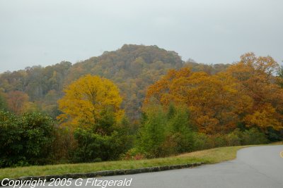 IMGP0392.JPG