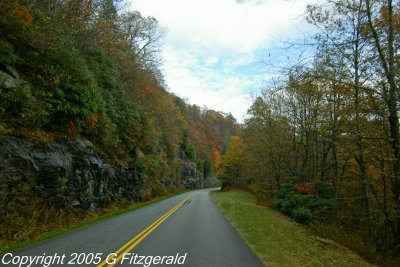 IMGP0437.JPG