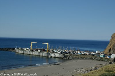 IMGP4282.jpg