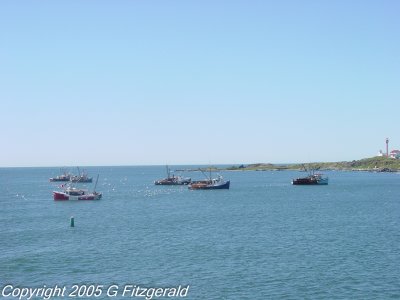 DSC04604