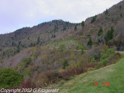DSC01416.jpg
