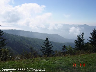 DSC01261.jpg