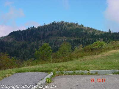 DSC01283.jpg