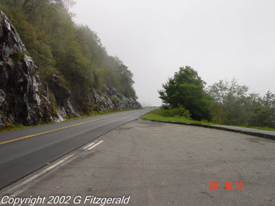 DSC01292.jpg