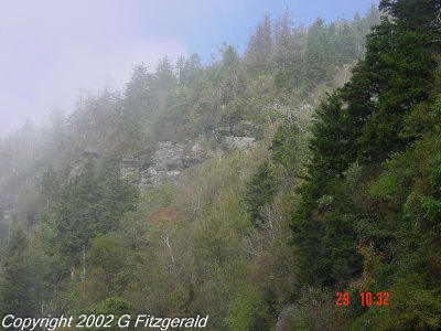 g1/89/958089/3/132490265.c7B3lI7J.jpg