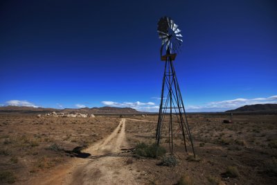 Mojave National Preserve 003