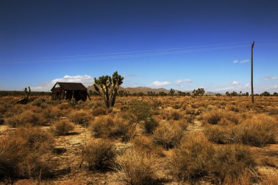 Mojave National Preserve 026