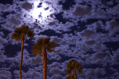 Newport Beach, California 069