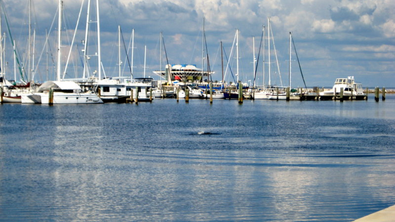 20120928_32.JPG