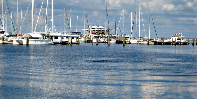 20120928_33.JPG