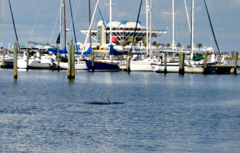 20120928_35.JPG