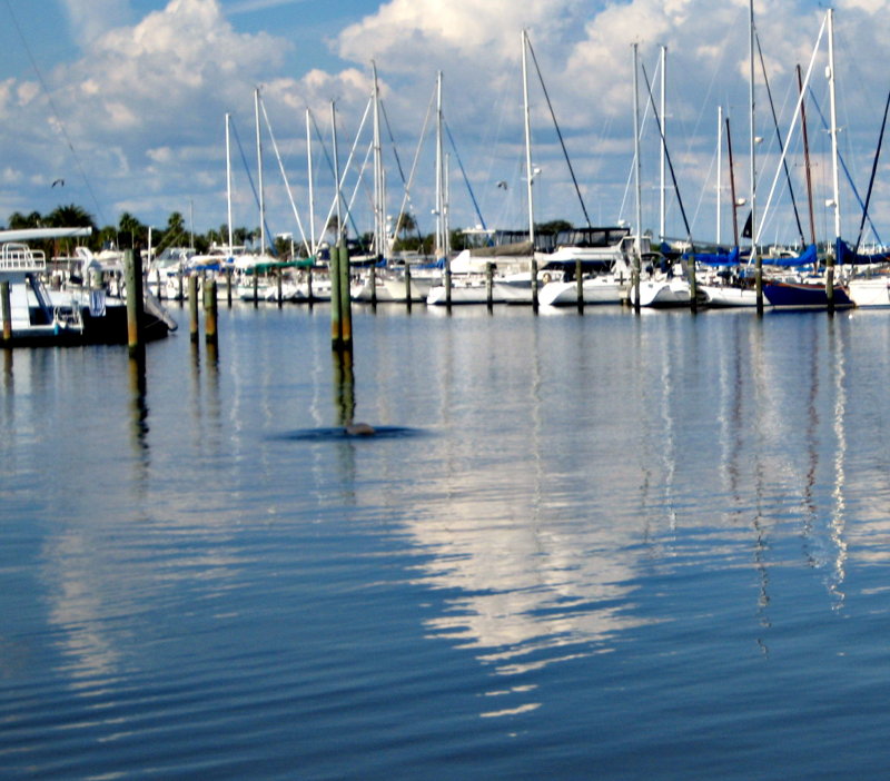 20120928_41 1.jpg