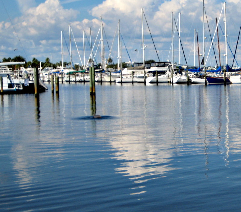 20120928_41 2.jpg
