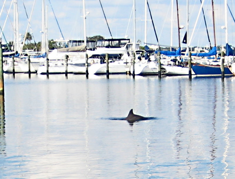 20120928_42.JPG