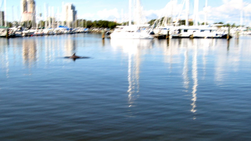 20120928_44.JPG