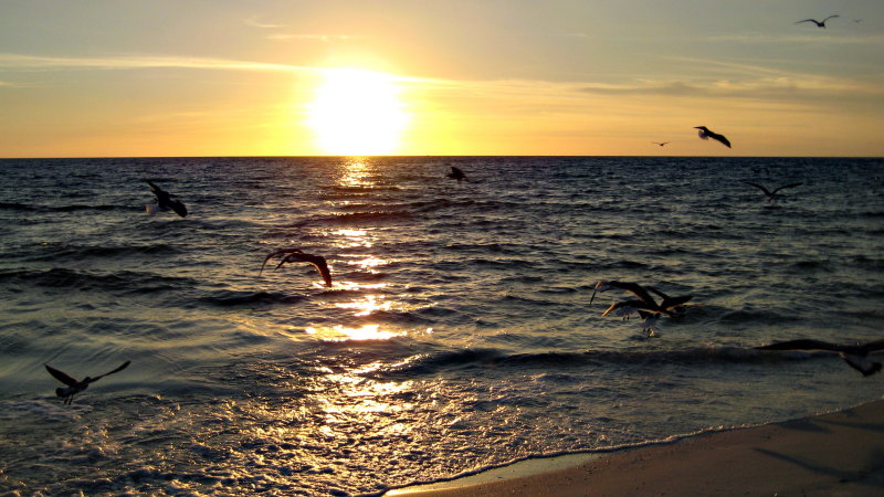 20120928_58.JPG