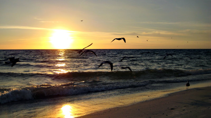 20120928_59.JPG