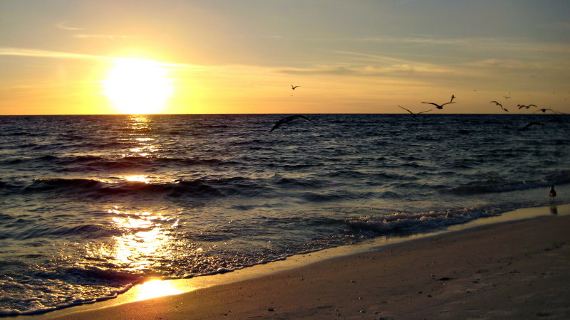 20120928_60.JPG