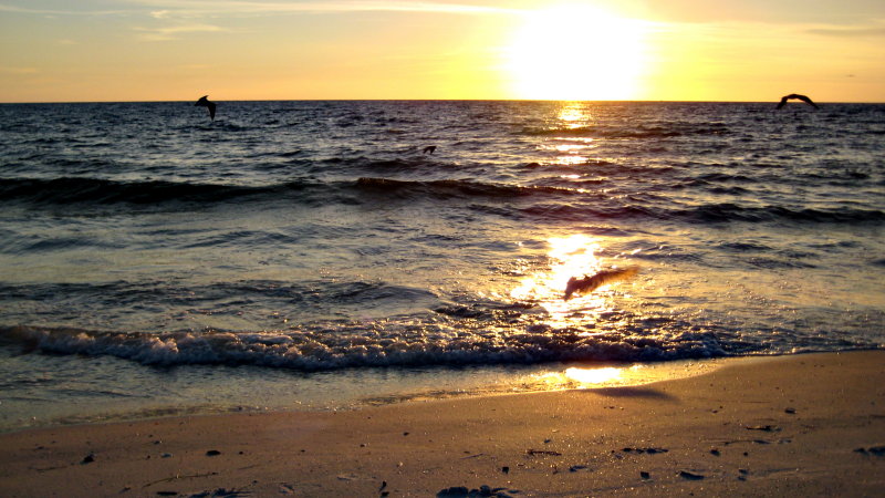 20120928_62.JPG