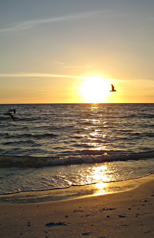 20120928_64.JPG