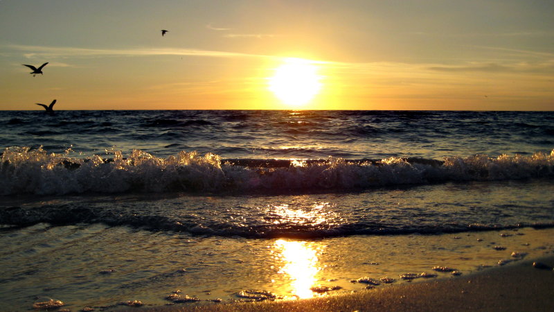 20120928_66.JPG