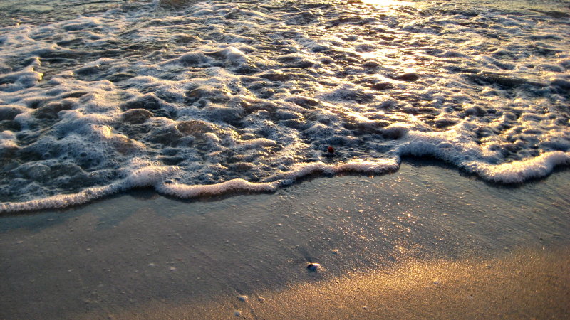 20120928_70.JPG