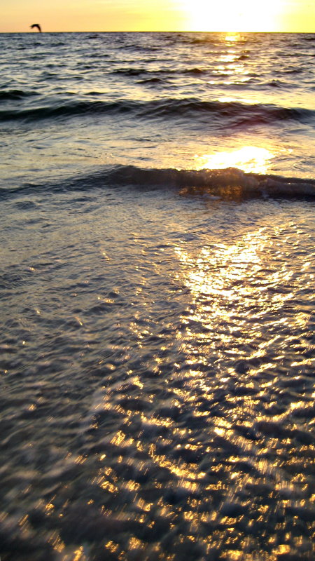 20120928_72.JPG