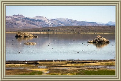 Mono Lake and Nature