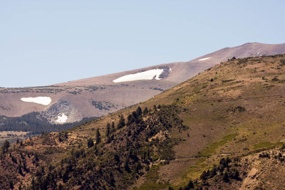 Snow Cap (Late August)  Found High above Mono Lake