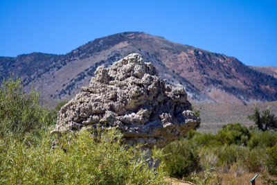 Mono Lake