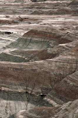 Ischigualasto - Valle de la Luna