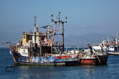 Coquimbo harbour