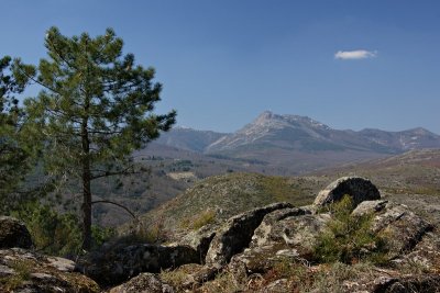 Near La Alberca - Sierra de Francia