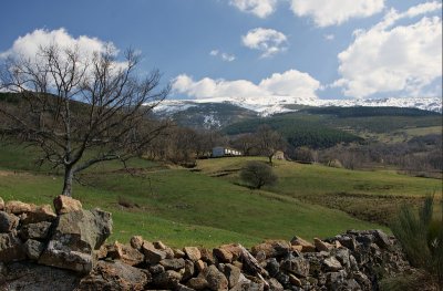 Sierra de Bjar, near Candelario