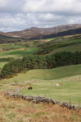 The Cooley Mountains from Ballymakellett