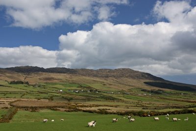 Glenmore and Slieve Foye from Aghameen