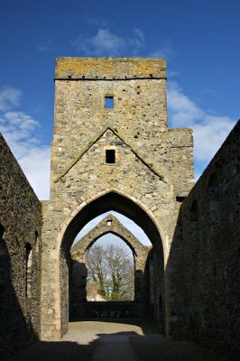 Dominican Friary, Carlingford