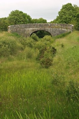 An ex-canal (the Longford Branch)