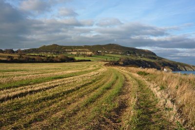 Cliff Walk near Greystones