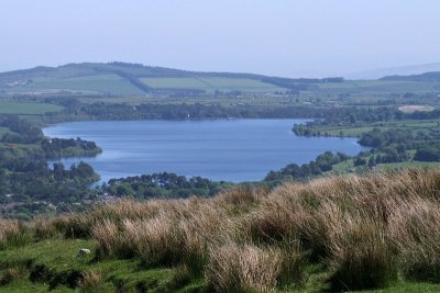 Vartry Reservoir, from Ballinafunshoge