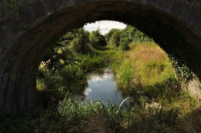 Junction with the closed Kilbeggan Branch