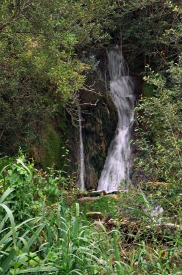 Leixlip Waterfall