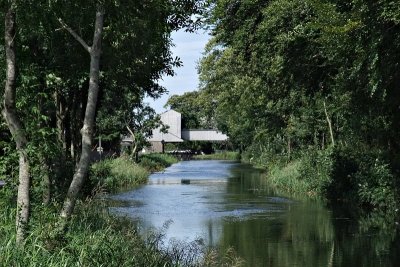 Near Leinster Mills, on the Naas Branch