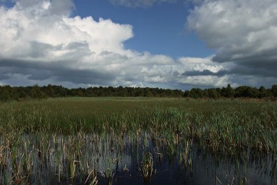 Turraun wetlands