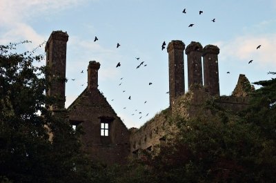 Ballycowan Castle