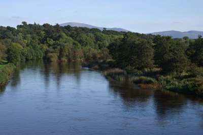 Downriver from Ballytiglea Bridge