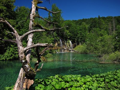 Upper lakes, Summer